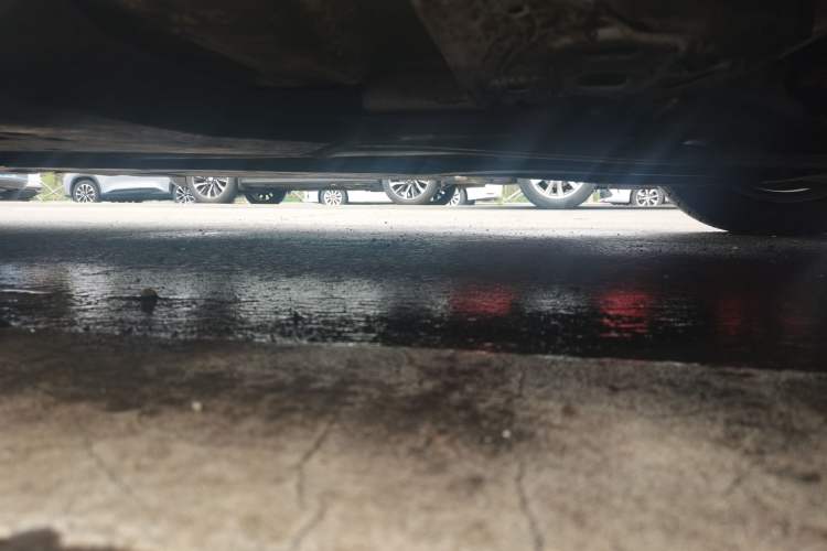Used Nissan Sylphy 2022 1.6L XL CVT Enjoyment Edition Chassis Front Right