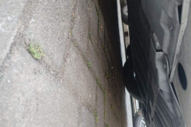 Used Nissan Sylphy 2022 1.6L XL CVT Enjoyment Edition Chassis Front Right