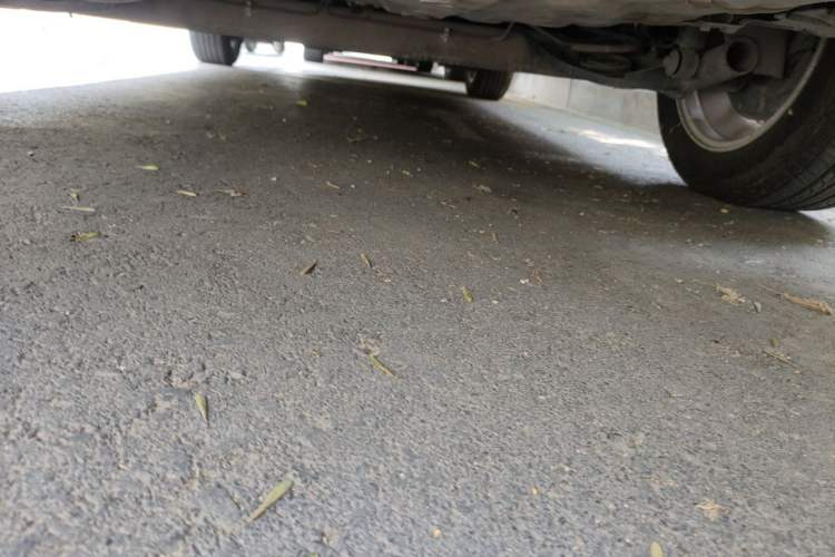 Used Nissan Sylphy 2022 Classic 1.6XE CVT Comfort Edition Chassis Rear