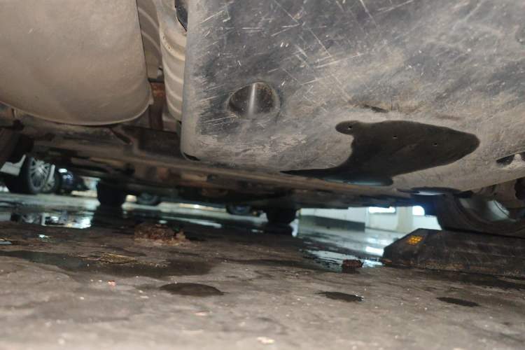 Used Nissan Sylphy 2022 1.6L XL CVT Enjoyment Edition Chassis Rear