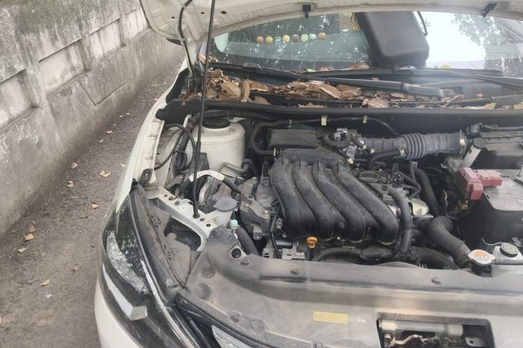 Used Nissan Sylphy 2022 Classic 1.6XE CVT Comfort Edition Engine Bay Right