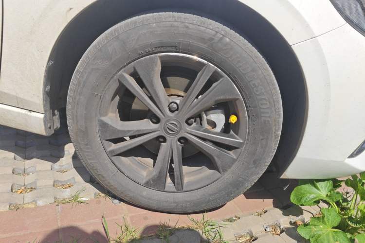 Used Nissan Sylphy 2022 1.6L XL CVT Enjoyment Edition Exterior 1