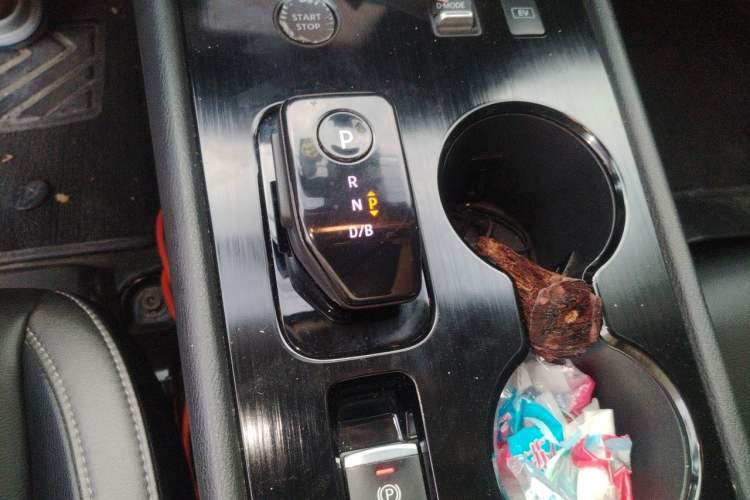 Used Nissan Sylphy 2022 Electric-Drive e-POWER Super Connect PLUS Gear Lever