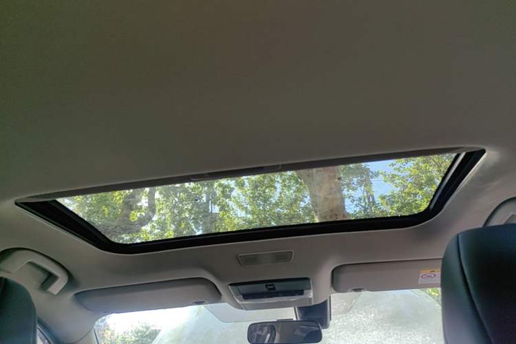 Used Nissan Sylphy 2022 1.6L XL CVT Enjoyment Edition Headliner