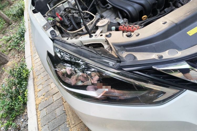 Used Nissan Sylphy 2022 Classic 1.6XE Manual Comfort Edition Right Front Headlight