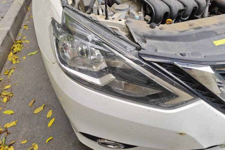 Used Nissan Sylphy 2022 Classic 1.6XL CVT Luxury Edition Right Front Headlight