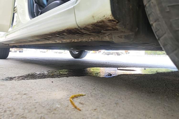 Used Nissan Sylphy 2022 Classic 1.6XE CVT Comfort Edition Right Side Sill