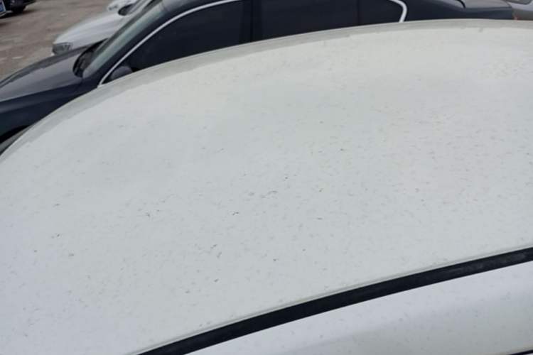 Used Nissan Sylphy 2022 Classic 1.6XE CVT Comfort Edition Roof
