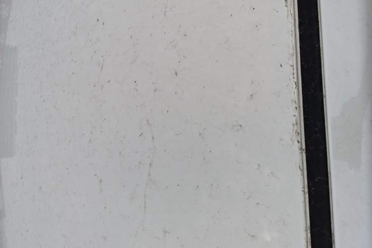 Used Nissan Sylphy 2022 Classic 1.6XE CVT Comfort Edition Roof