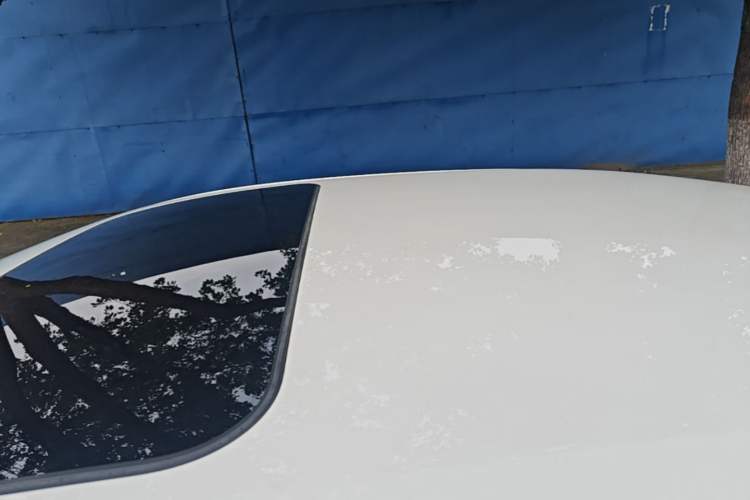 Used Nissan Sylphy 2022 1.6L XL CVT Enjoyment Edition Roof