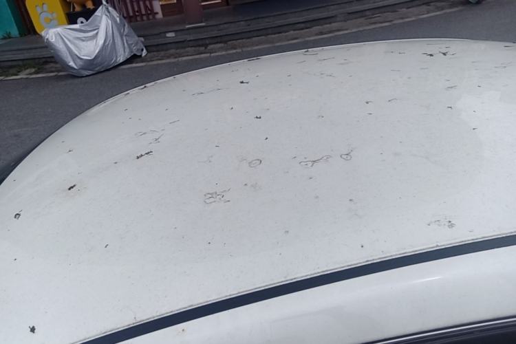 Used Nissan Sylphy 2022 Classic 1.6XE CVT Comfort Edition Roof