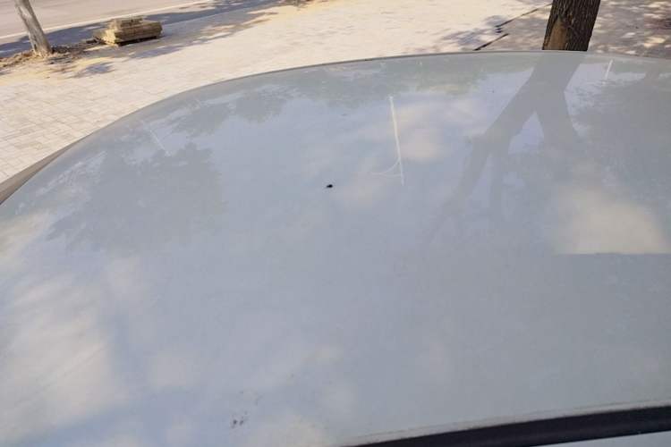 Used Nissan Sylphy 2022 Classic 1.6XE CVT Comfort Edition Roof