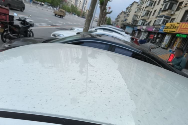Used Nissan Sylphy 2022 Classic 1.6XE Manual Comfort Edition Roof