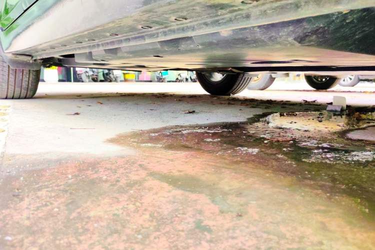 Used Nissan Sylphy 2023 1.6L CVT Enjoyment Edition Chassis Front Right