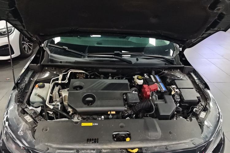 Used Nissan Sylphy 2023 1.6L CVT Enjoyment Edition Engine Bay