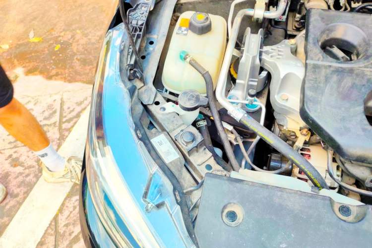Used Nissan Sylphy 2023 1.6L CVT Enjoyment Edition Engine Bay Right