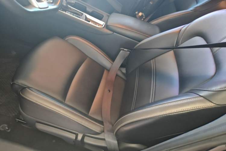 Used Nissan Sylphy 2023 1.6L CVT Enjoyment Edition Left Front Seat
