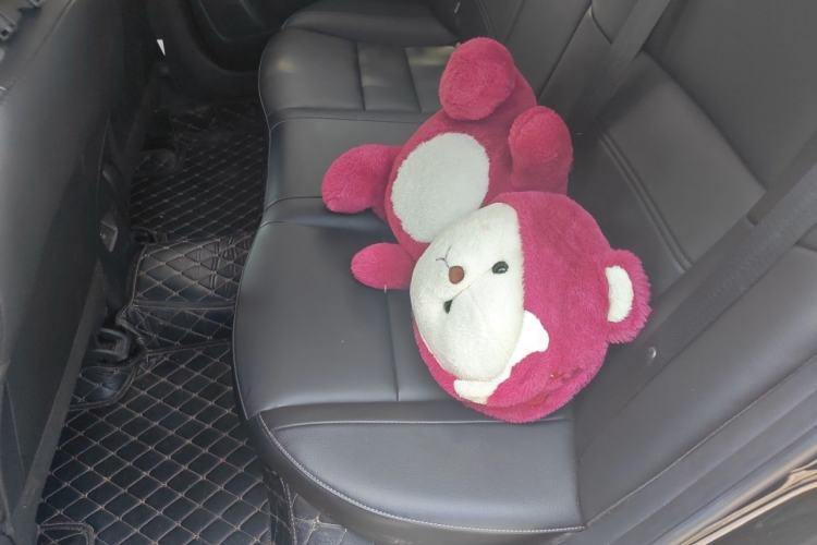 Used Nissan Sylphy 2023 1.6L CVT Enjoyment Edition Left Rear Seat