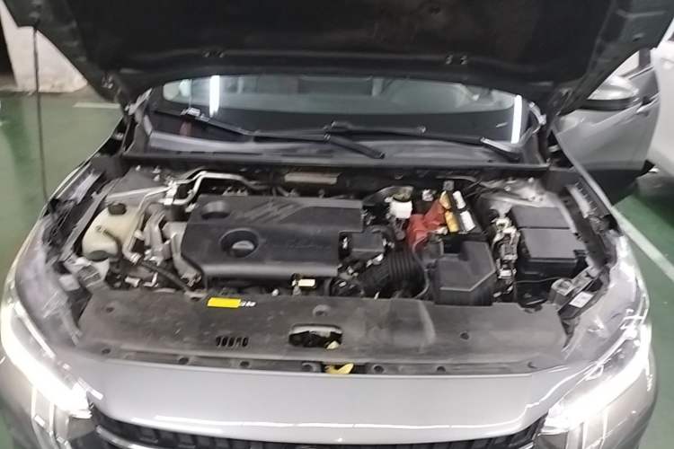 Used Nissan Sylphy 2023 1.6L CVT Enjoyment Edition Engine Bay