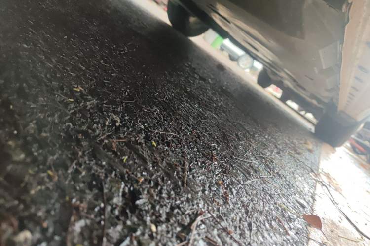 Used Nissan Sylphy 2023 1.6L CVT Enjoyment Edition Chassis Front Left