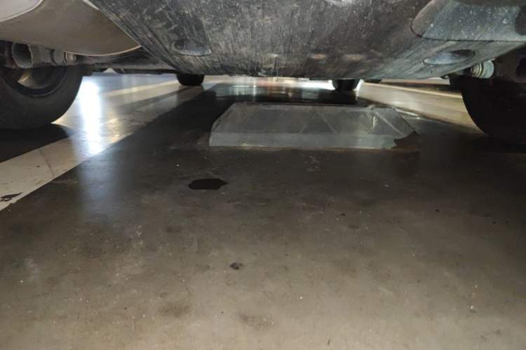 Used Nissan Sylphy 2023 1.6L CVT Smart Drive Version Chassis Rear
