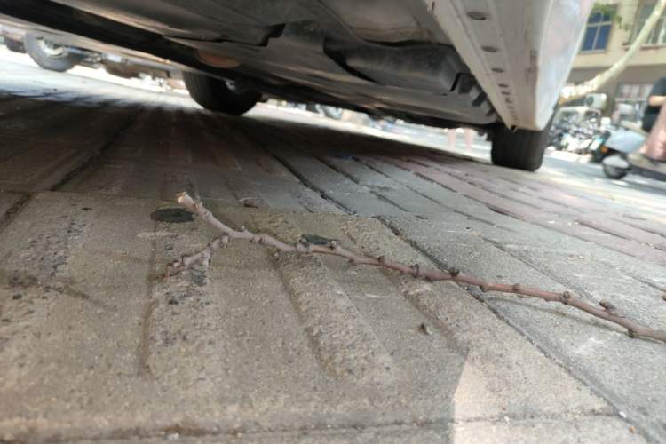 Used Nissan Sylphy 2023 1.6L CVT Enjoyment Edition Chassis Rear Right
