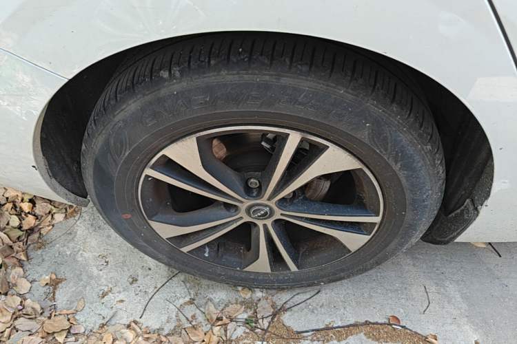 Used Nissan Sylphy 2023 1.6L CVT Enjoyment Edition Exterior 5