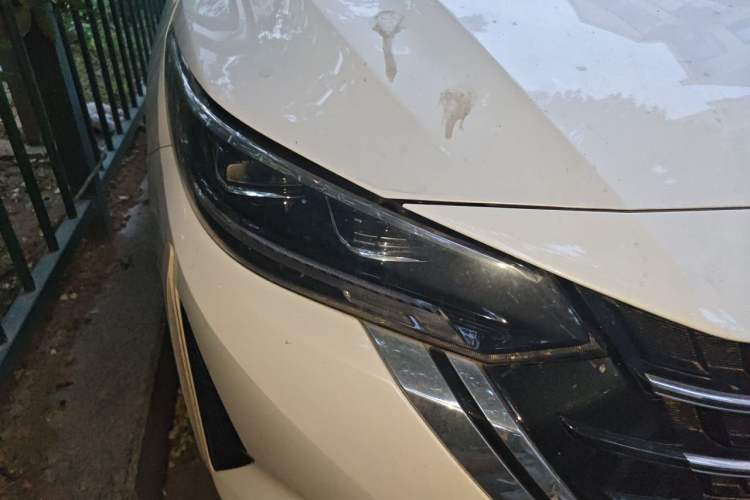 Used Nissan Sylphy 2023 1.6L CVT Enjoyment Edition Right Front Headlight