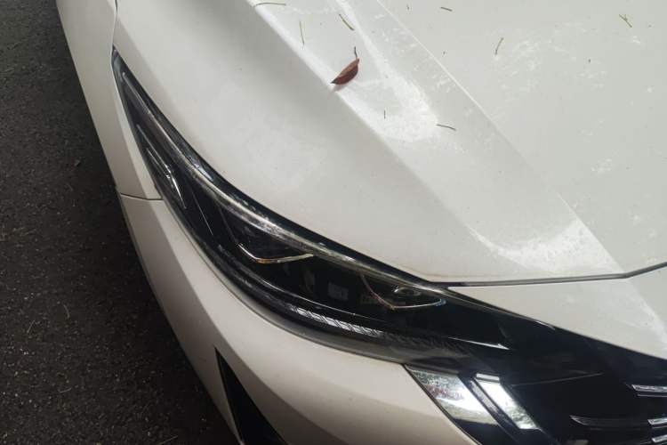 Used Nissan Sylphy 2023 1.6L CVT Enjoyment Edition Right Front Headlight