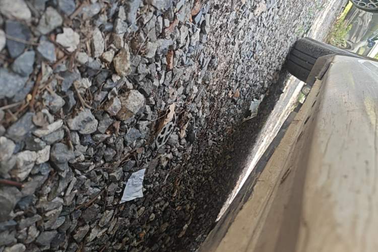 Used Nissan Sylphy 2023 1.6L CVT Enjoyment Edition Right Side Sill