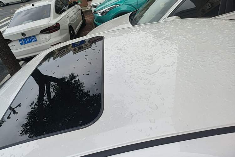 Used Nissan Sylphy 2023 1.6L CVT Enjoyment Edition Roof