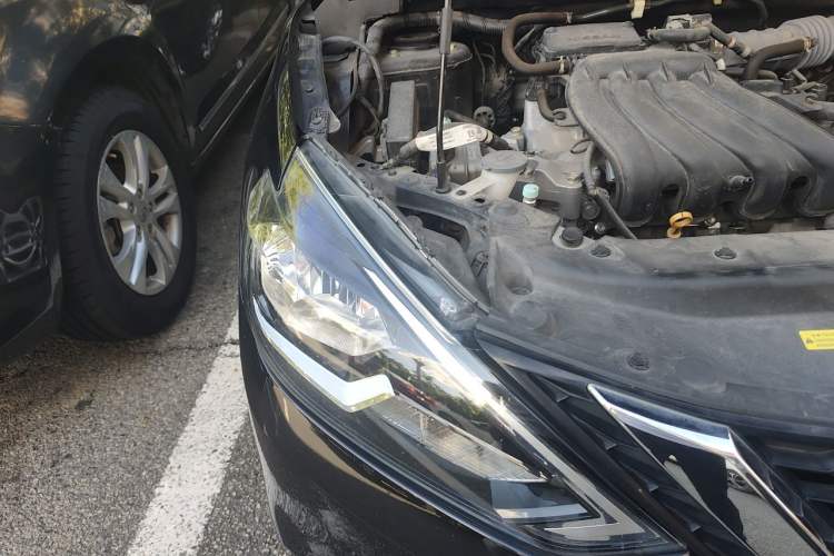 Used Nissan Sylphy 2024 Classic 1.6XE CVT Comfort Edition Right Front Headlight