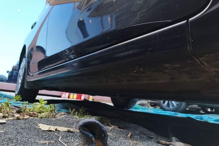 Used Nissan Sylphy 2024 Classic 1.6XE CVT Comfort Edition Right Side Sill