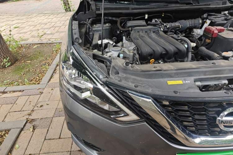 Used Nissan Sylphy 2024 Classic 1.6XL CVT Luxury Edition Right Front Headlight