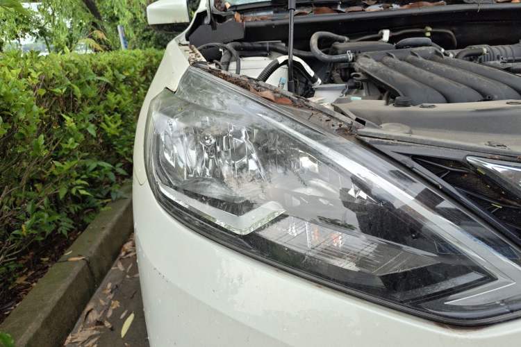 Used Nissan Sylphy 2024 Restyled Version 2 Classic 1.6XE CVT Comfort Edition Exterior 6