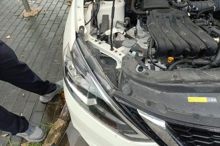 Used Nissan Sylphy 2024 Classic 1.6XL CVT Luxury Edition Right Front Headlight