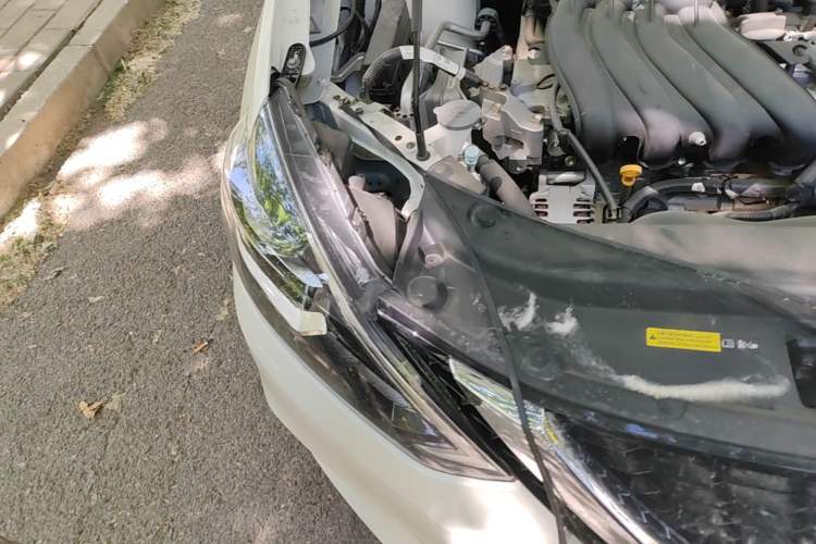 Used Nissan Sylphy 2024 Classic 1.6XE CVT Comfort Edition Right Front Headlight