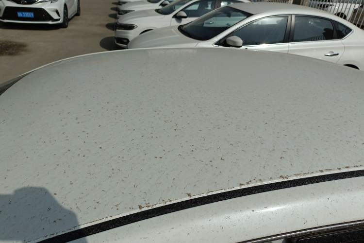 Used Nissan Sylphy 2024 Facelifted Three Classic 1.6XE CVT Comfort Edition Roof