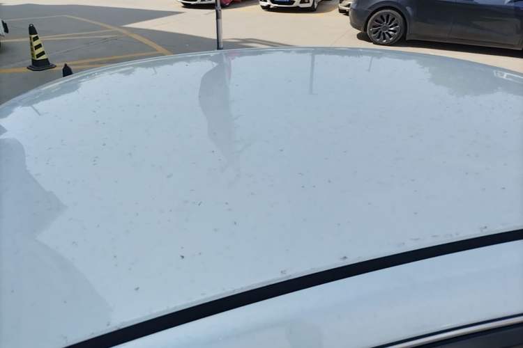 Used Nissan Sylphy 2024 Classic 1.6XE CVT Comfort Edition Roof