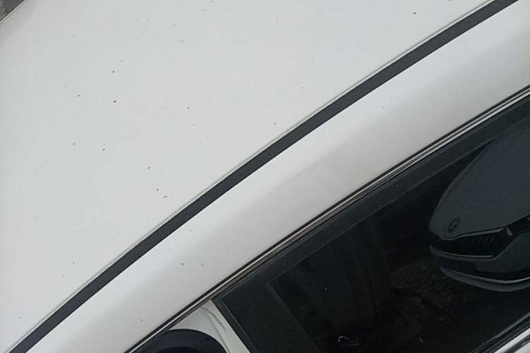 Used Nissan Sylphy 2024 Classic 1.6XE CVT Comfort Edition Roof