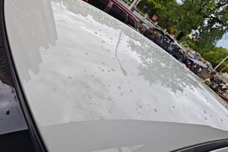 Used Nissan Sylphy 2024 Classic 1.6XE CVT Comfort Edition Roof
