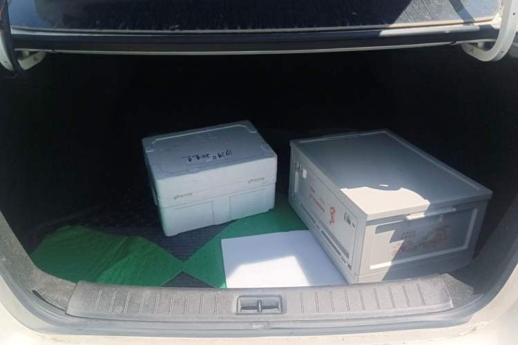 Used Nissan Sylphy 2024 Classic 1.6XE CVT Comfort Edition Trunk