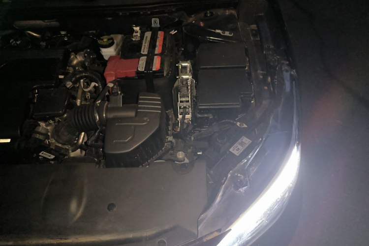 Used Nissan Sylphy 2025 1.6L CVT Genuine Edition Engine Bay Left
