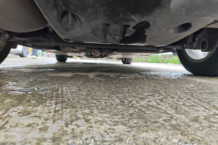 Used Nissan Sylphy 2025 1.6L CVT Genuine Edition Chassis Rear