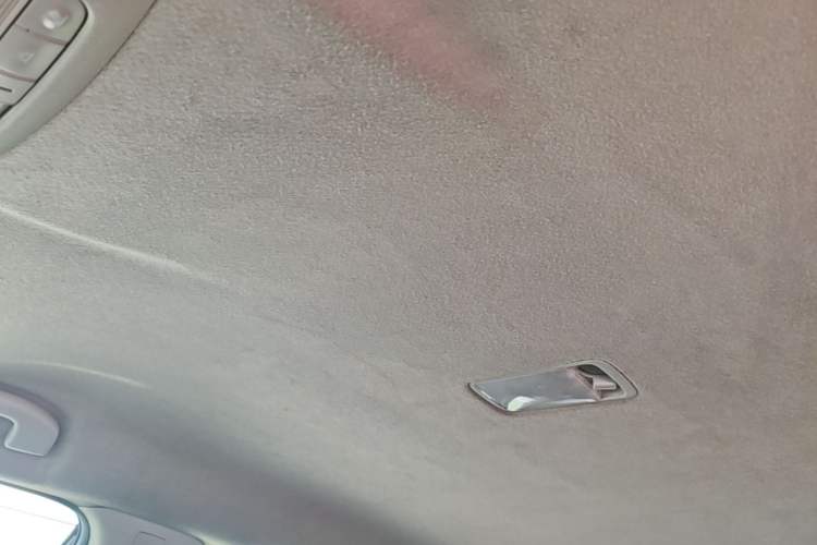 Used Nissan Sylphy EV 2018 Smart Edition Headliner
