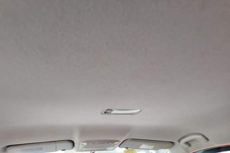 Used Nissan Sylphy EV 2018 Smart Edition Headliner