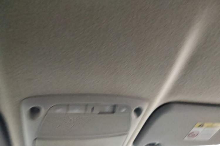 Used Nissan Sylphy EV  Headliner