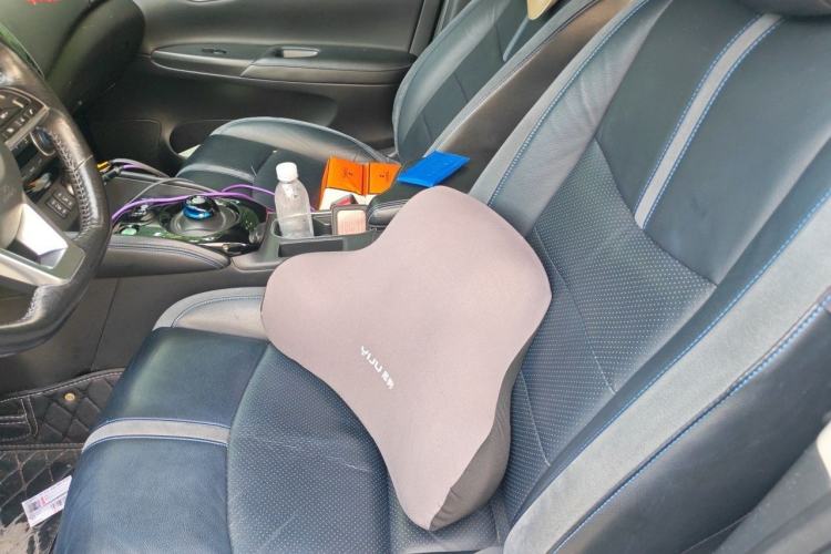 Used Nissan Sylphy EV 2018 ZhiZun Edition Left Front Seat