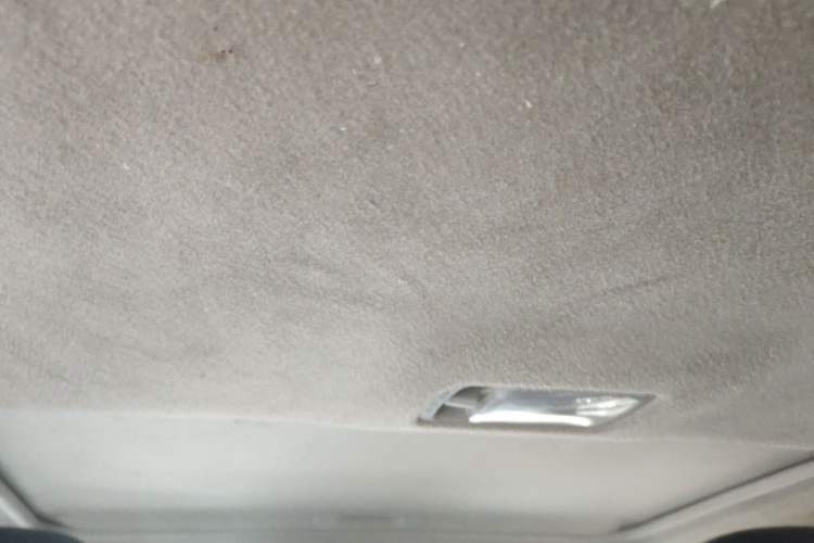 Used Nissan Sylphy EV 2018 ZhiZun Edition Headliner