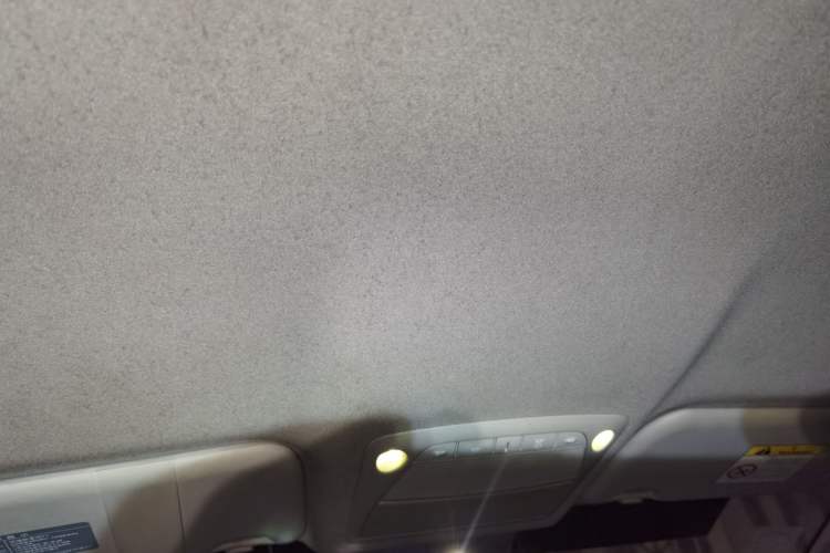 Used Nissan Sylphy EV 2018 Smart Edition Headliner